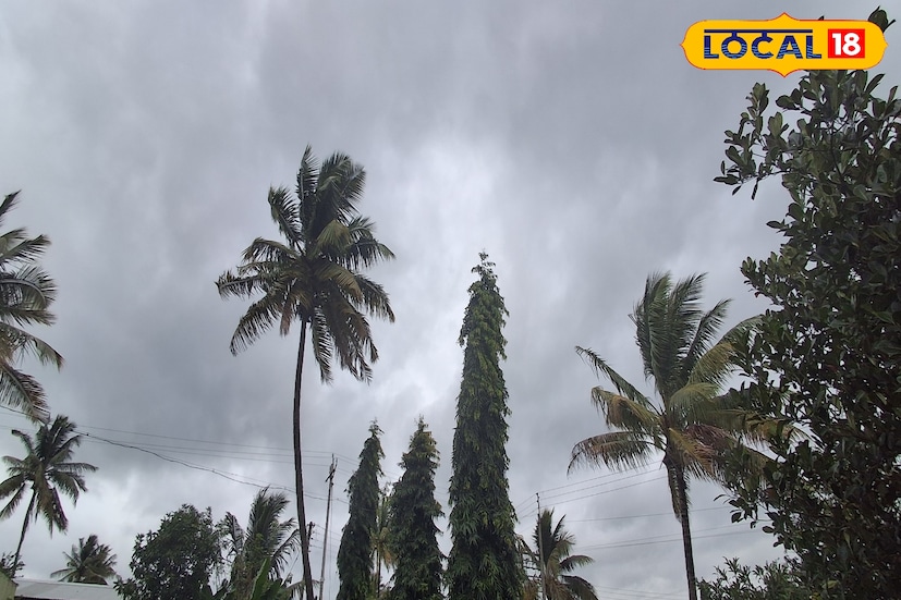 मागील 24 तासात सातारा जिल्ह्यातील कमाल तापमान 31.7 अंश सेल्सिअस इतके राहीले. आज संपूर्ण साताऱ्यासह सातारा घाटमाथ्यावर विजांसह हलक्या पावसाची शक्&#x200d;यता हवामान विभागाकडून वर्तवण्यात आला आहे. यावेळी कमाल तापमान 31 अंशांवर राहिल.