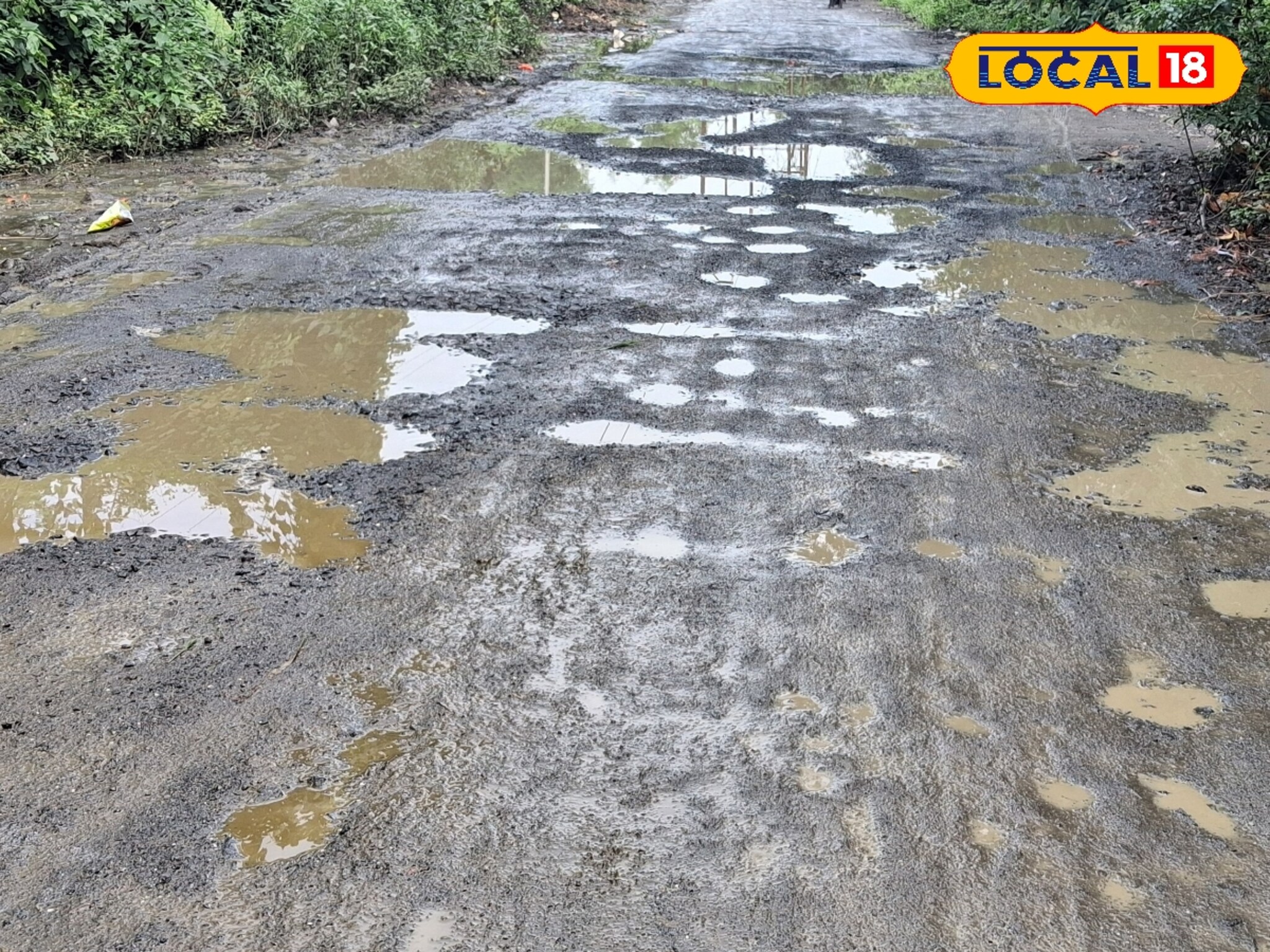 रस्त्यांवरील खड्ड्यांना जबाबदार कोण? जखमींना इतकी मिळणार नुकसान भरपाई, हायकोर्टा