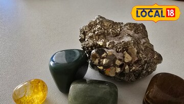 तुम्हालाही