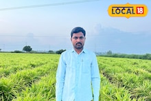 MPSC परिक्षेत अपयश, आले शेतीने पालटलं तरुणाचं नशीब, 2 एकरात घेतलं 15 लाखांचं उत्पन्न