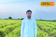 MPSC परिक्षेत अपयश, आले शेतीने पालटलं  नशीब, 2 एकरात घेतलं 15 लाखांचं उत्पन्न
