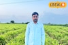MPSC परिक्षेत अपयश, आले शेतीने पालटलं  नशीब, 2 एकरात घेतलं 15 लाखांचं उत्पन्न