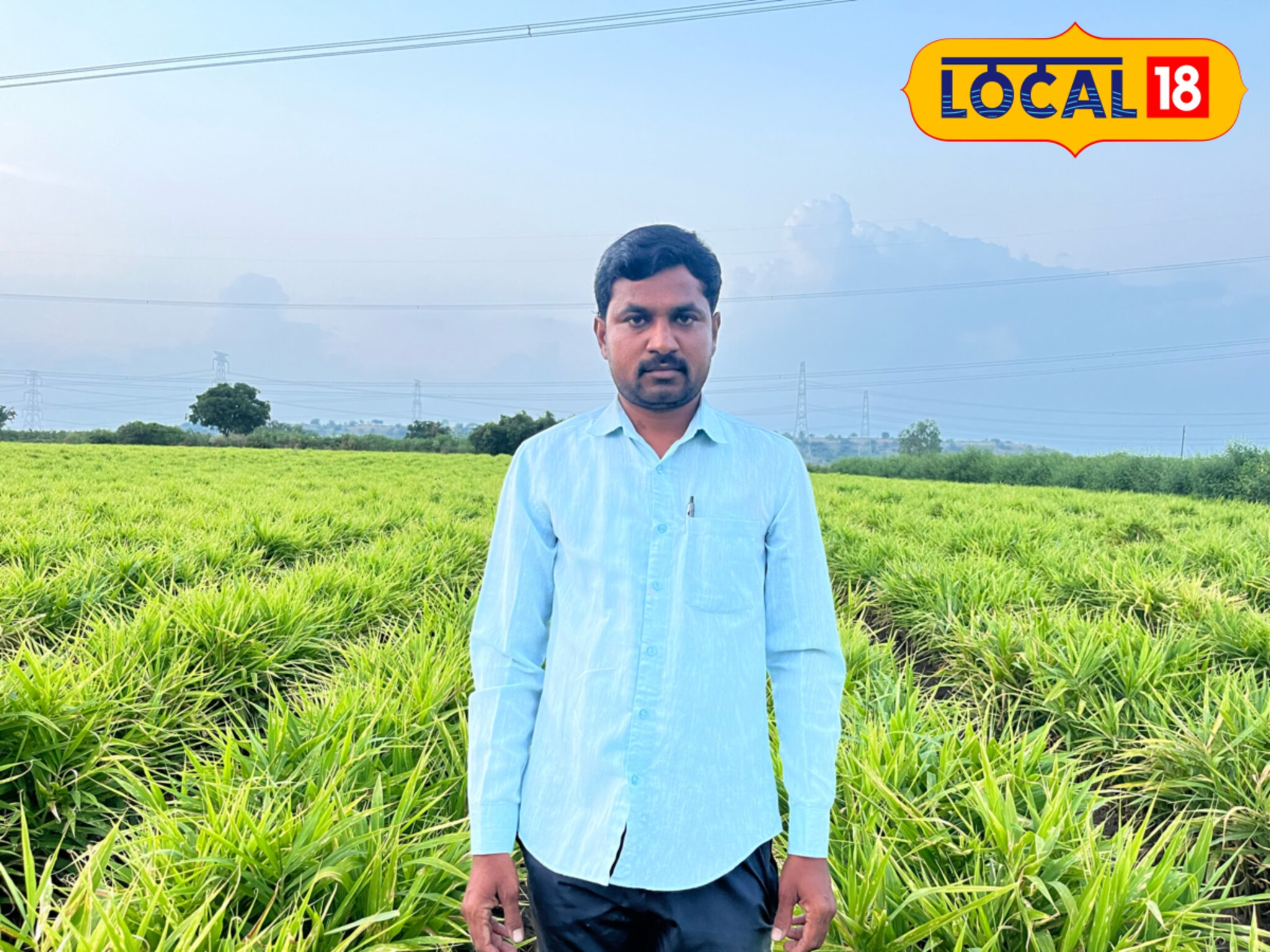 MPSC परिक्षेत अपयश, आले शेतीने पालटलं तरुणाचं नशीब, 2 एकरात घेतलं 15 लाखांचं उत्पन्न