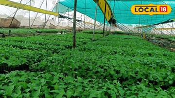 हिवाळ्यात