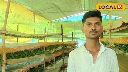 रेशीम शेतीतून यशस्वी वाटचाल रेशीम शेतीतून यशस्वी वाटचाल