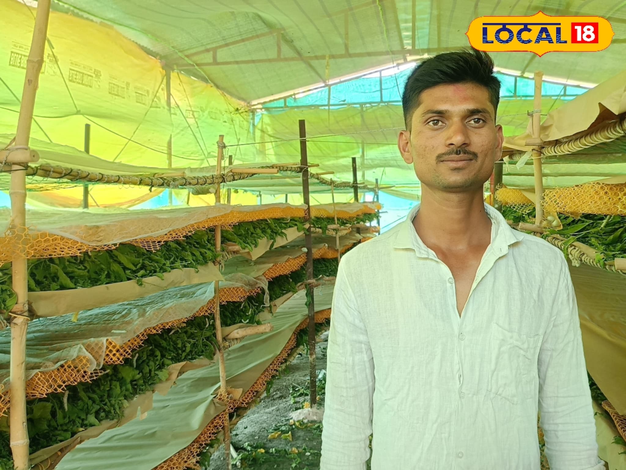 Success Story : पारंपरिक पिकाला फाटा, विकासने केली रेशीम शेती, वर्षाला 5 लाख कमाई