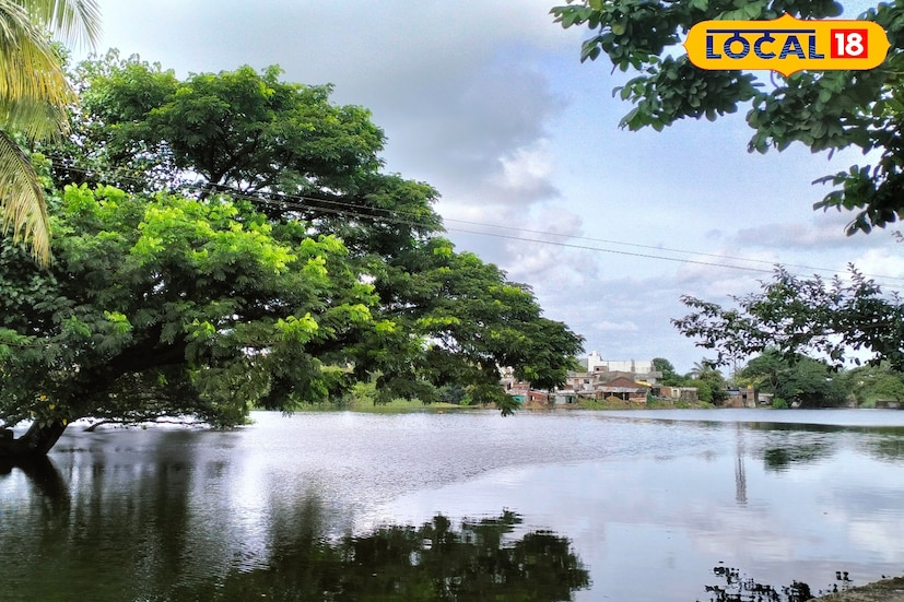 मागील 24 तासात सातारा जिल्ह्यातील कमाल तापमान 32.6 अंश सेल्सिअस इतके राहीले. आज संपूर्ण साताऱ्यासह घाटमाथ्यावर विजांसह पावसाची शक्यता असल्याने दक्षतेचा यलो अलर्ट भारतीय हवामान विभागाकडून वर्तवण्यात आला आहे. यावेळी कमाल तापमानाचा पारा 33 अंशावर राहिल. 