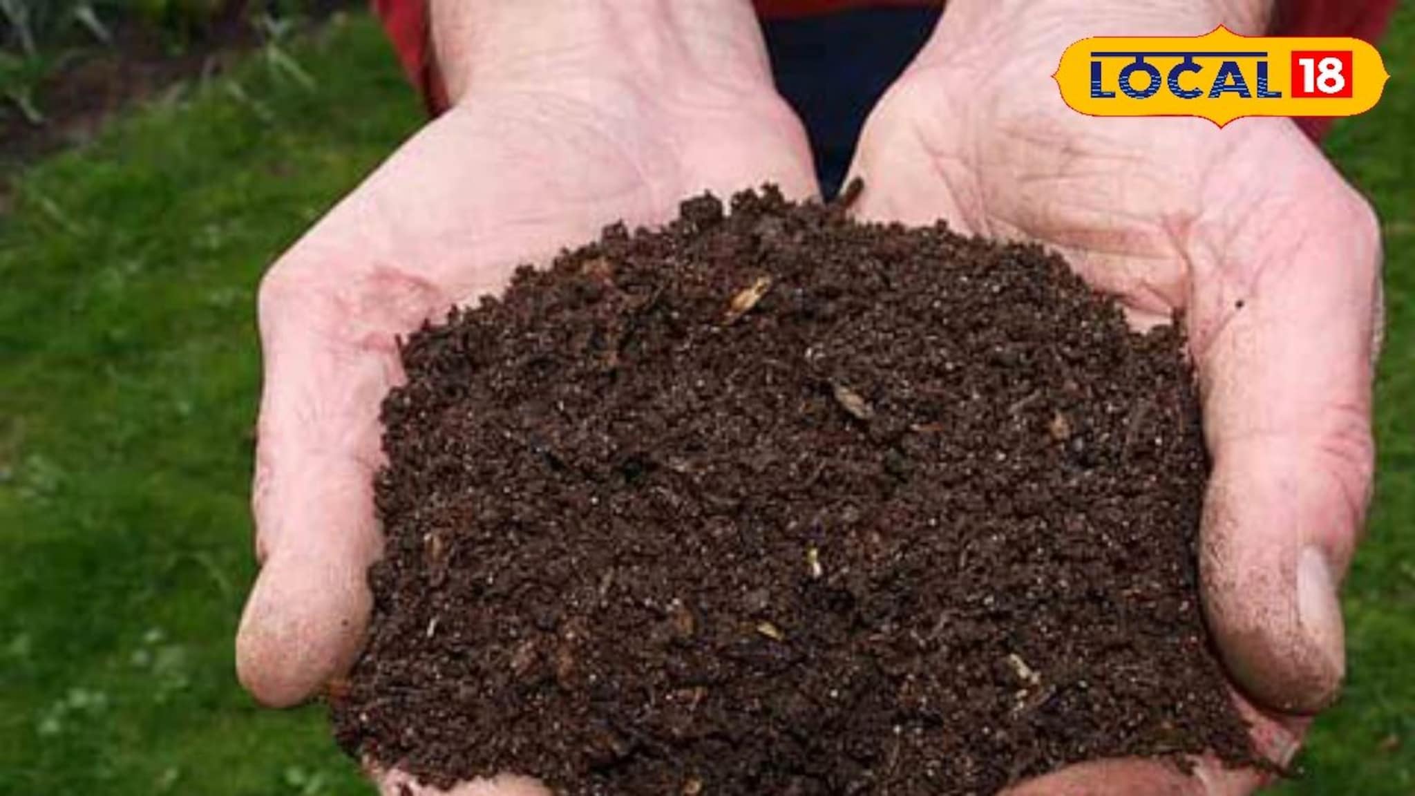 सेंद्रिय खतांची निर्मिती घरच्या घरी कशी करावी? सोपी- किफायतशीर पद्धत जाणून घ्या