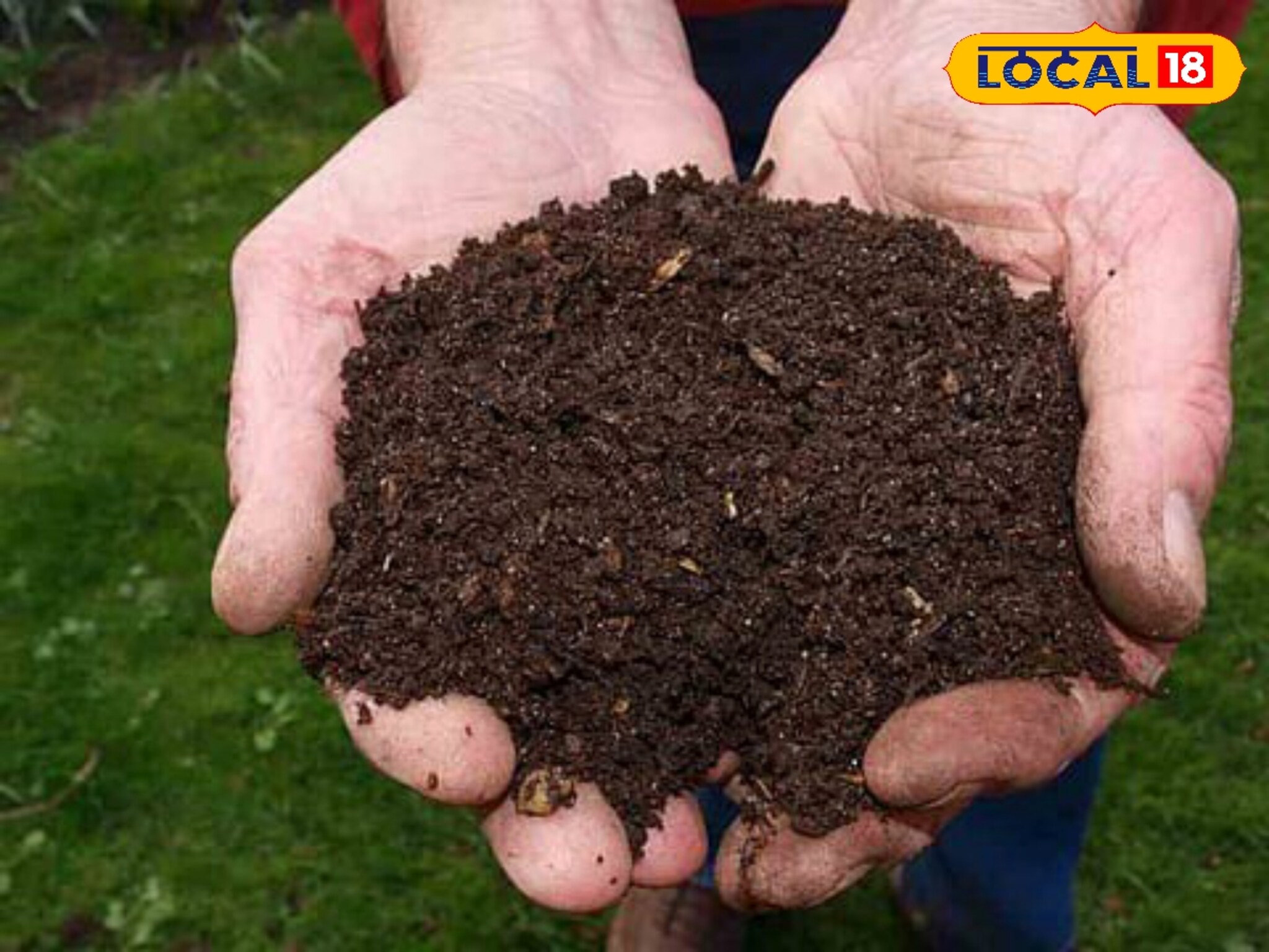 सेंद्रिय खतांची निर्मिती घरच्या घरी कशी करावी? सोपी- किफायतशीर पद्धत जाणून घ्या