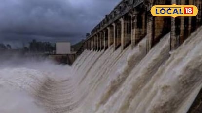 Water Storage: महाराष्ट्राची पाण्याची चिंता मिटली! 114 धरणे तुडुंब; कुठं, किती पाणीसाठा? Water Storage: महाराष्ट्राची पाण्याची चिंता मिटली! 114 धरणे तुडुंब; कुठं, किती पाणीसाठा?