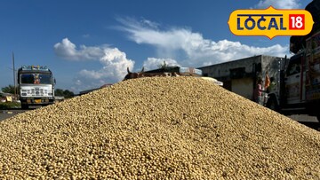 सोयाबीन