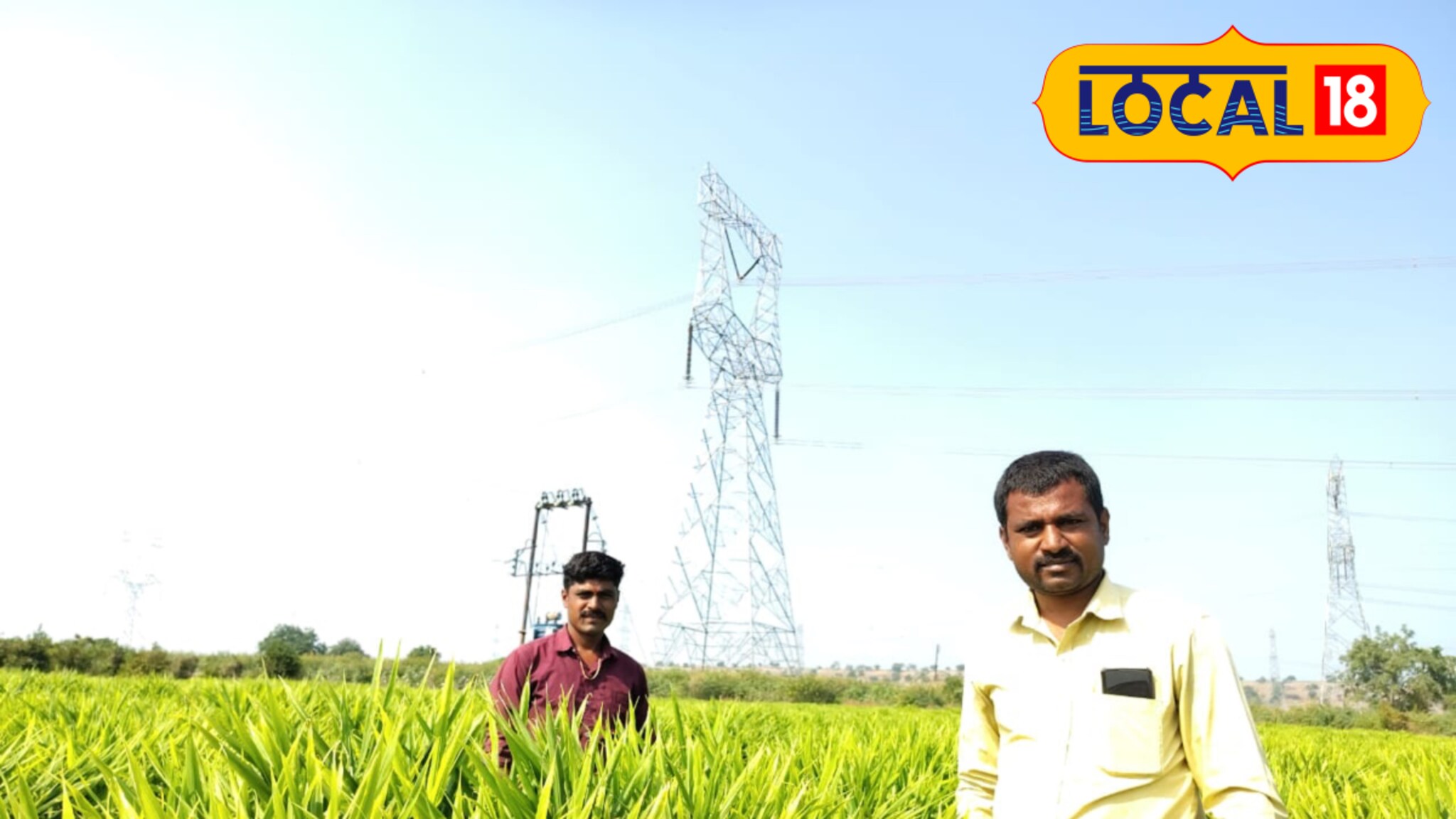 Success Story: उच्च शिक्षण घेऊनही नोकरी नाही मिळाली, तरुणाने केली शेती, आता लाखात कमाई