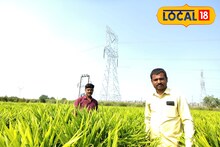Success Story: उच्च शिक्षण घेऊनही नोकरी नाही मिळाली, तरुणाने केली शेती, आता लाखात कमाई