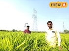 उच्च शिक्षण घेऊनही नोकरी नाही मिळाली, तरुणाने केली शेती, आता लाखात कमाई