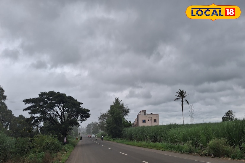 मागील 24 तासात सातारा जिल्ह्यात 31 अंश सेल्सिअस कमाल तापमानाची तसेच 5 मिलिमीटर पावसाची नोंद झाली. आज संपूर्ण साताऱ्यासह घाटमाथ्यावर विजांसह पावसाची शक्यता आहे. यावेळी कमाल तापमानाचा पारा 30 अंशावर राहील. पुढील 48 तासांसाठी हवामान विभागाने सातारा आणि घाटमाथ्याच्या भागासाठी यलो अलर्ट दिला आहे. 