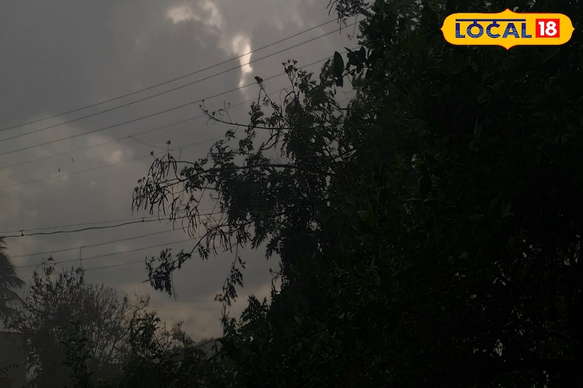 ऐन दिवाळीत राज्यात पावसाचा जोर वाढला आहे. कोकण मराठवाड्यासह पश्चिम महाराष्ट्रातही तुरळक ठिकाणी जोरदार पाऊस सुरू आहे. गुरुवारी कोल्हापूर, सोलापूरसह सर्वच भागात पावसाने हजेरी लावली. आज पुन्हा पश्चिम महाराष्ट्रात पावसाची शक्यता असून हवामान विभागाने पाचही जिल्ह्यांना यलो अलर्ट जारी केला आहे. 