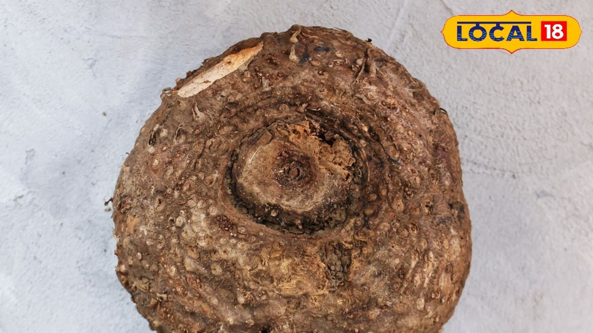 Health Tips : अशक्तपणा होईल दूर, सुरण कंद शरिरासाठी गुणकारी, हे फायदे वाचून तुम्हीही व्हाल चकीत