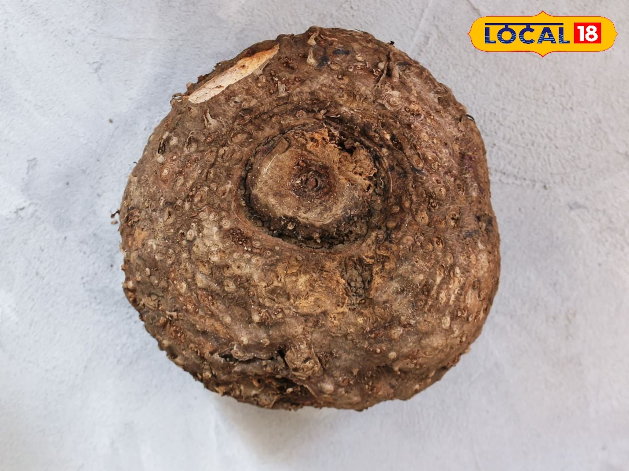 Health Tips : अशक्तपणा होईल दूर, सुरण कंद शरिरासाठी गुणकारी, हे फायदे वाचून तुम्हीही व्हाल चकीत