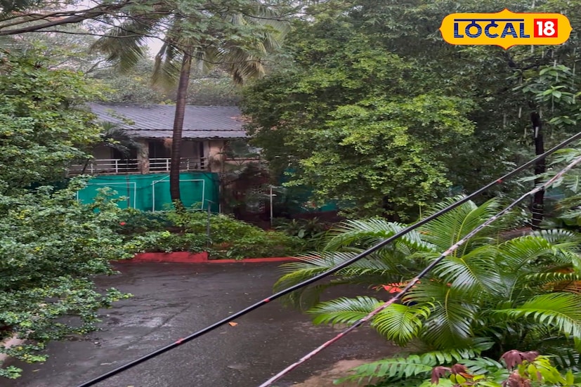 ठाणे आणि नवी मुंबई भागात गेल्या दोन दिवसांपासून सतत पावसाचा जोर दिसून येतोय. मंगळवारी झालेल्या पावसानंतर अनेक ठिकाणी वाहतूक मंदावली होती. आज पुन्हा हवामान विभागाने या भागात येलो अलर्ट दिला असून, 40 ते 50 किमी प्रतितास वेगाने वारे आणि मुसळधार पावसाचा अंदाज व्यक्त केला आहे. नागरिकांना घराबाहेर पडताना काळजी घेण्याचं आवाहन करण्यात आलं आहे.