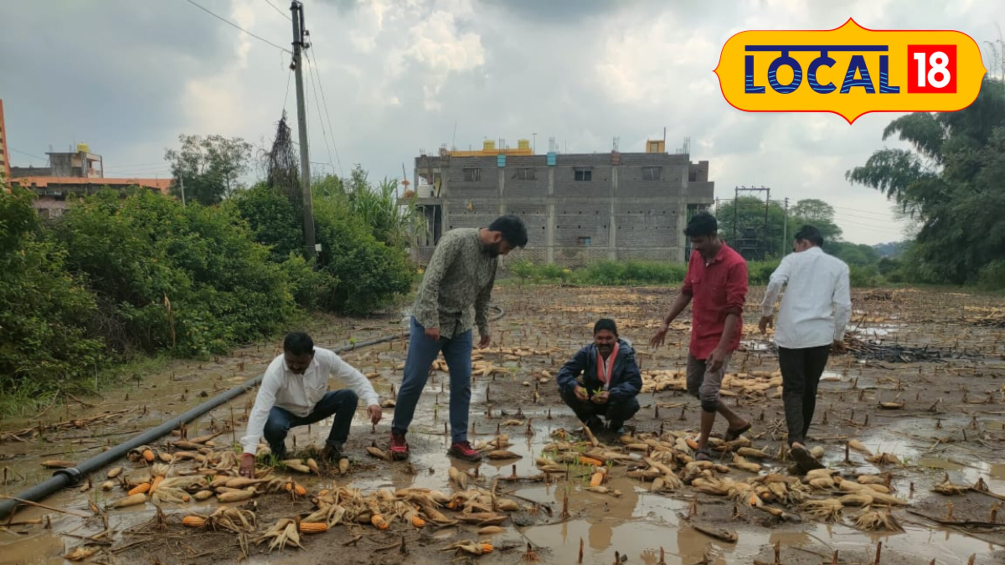 Agriculture News : सांगा, शेतकऱ्यानं काय करायचं? 'तो' आला अन् सगळं घेऊन गेला, काढलेलं पिक जागेवर कुजलं!