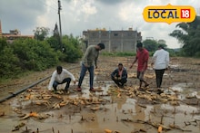 Agriculture News : सांगा, शेतकऱ्यानं काय करायचं? 'तो' आला अन् सगळं घेऊन गेला, काढलेलं पिक जागेवर कुजलं!