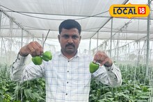 लई झाक! 20 गुंठ्यात शेतकऱ्याने फळभाज्यांमधून कमावले लाखोंचे उत्पन्न; शेतीत केला भन्नाट जुगाड