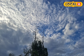 पुणे, सोलापूर ते कोल्हापूर, आज कुठं कोसळणार? IMD कडून हवामानाचं मोठं अपडेट पुणे, सोलापूर ते कोल्हापूर, आज कुठं कोसळणार? IMD कडून हवामानाचं मोठं अपडेट