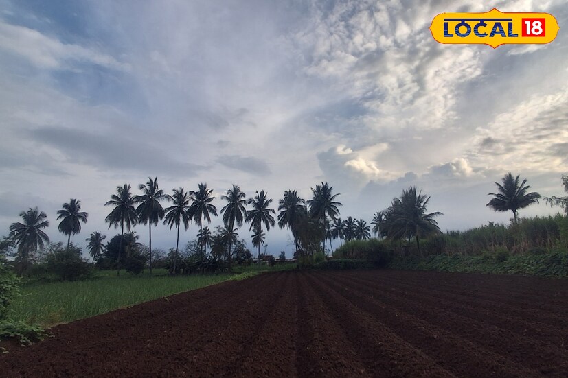 पुणे जिल्ह्यात मंगळवारी 30.9 अंश सेल्सिअस कमाल तापमानाची नोंद झाली. आज पुणे जिल्ह्यात विजांच्या कडकडाटासह वादळी पावसाची शक्यता आहे. यावेळी कमाल तापमानाचा पारा 30 अंशावर राहिल. 