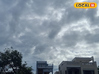 पुणे, सोलापूर ते कोल्हापूर, आज कुठं कोसळणार? IMD कडून हवामानाचं मोठं अपडेट