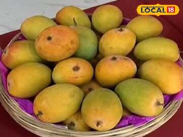 Hapus Rate: आंबा आहे की सोनं? एका पेटीचा भाव 25000 रुपये, देवगडच्या हापूसला रेकॉर्ड ब्रेक दर!