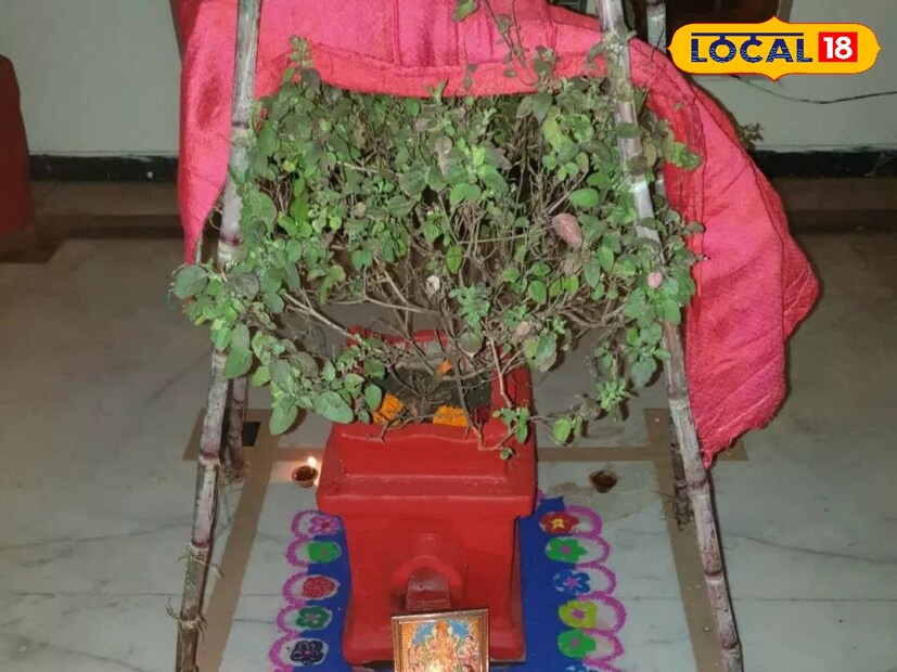  कार्तिक महिन्यातील शुक्ल पक्षातील देवउठनी एकादशीच्या दुसऱ्या दिवशी, म्हणजेच द्वादशी तिथीला तुळशी विवाह संपन्न होतो. हिंदू धर्मामध्ये तुळशी विवाहाचे खूप महत्त्व आहे आणि खूप शुभ मानले जाते. तुळस ही पवित्रता आणि सकारात्मक उर्जेचे प्रतीक आहे, असे मानले जाते.