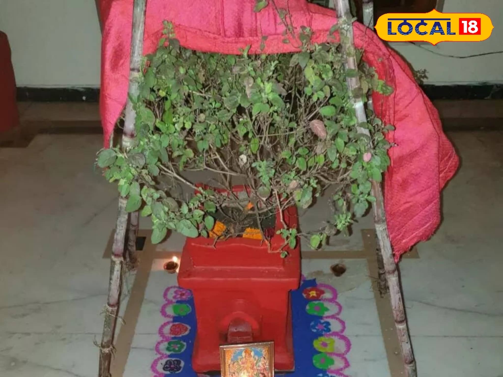 Tulsi Vivah 2025: 1 की 2 नोव्हेंबर, कोणती एकादशी ग्राह्य धरायची? तुळशी विवाहाचे दिवस, मुहूर्त आणि महत्त्व, Video