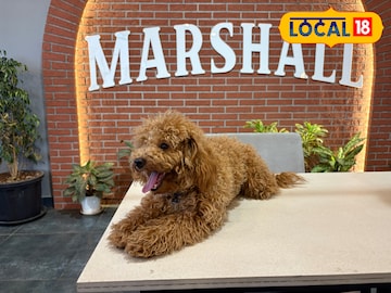 पुरुष पुरुष