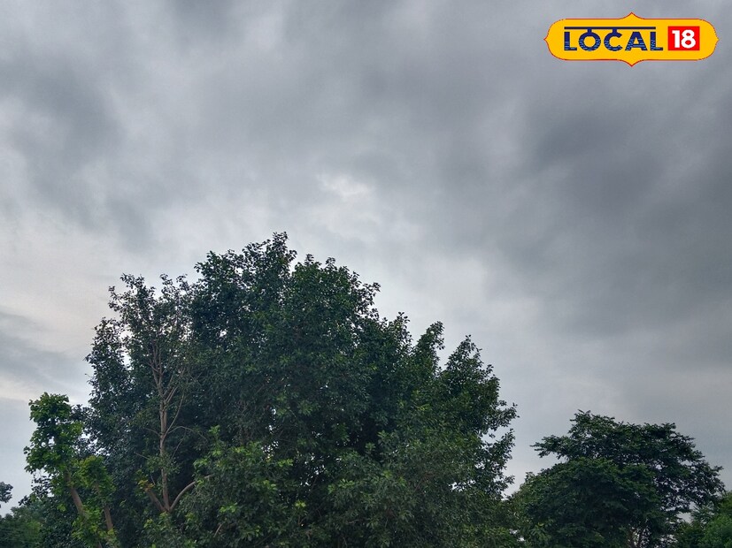 1 नोव्हेंबर ते 4 नोव्हेंबर दरम्यान तुरळक ठिकाणी हलका पाऊस वगळता पावसाची उघडीप पाहायला मिळण्याची शक्यता आहे. पाहुयात 1 नोव्हेंबर रोजी राज्यात हवामानाची स्थिती कशी असेल.