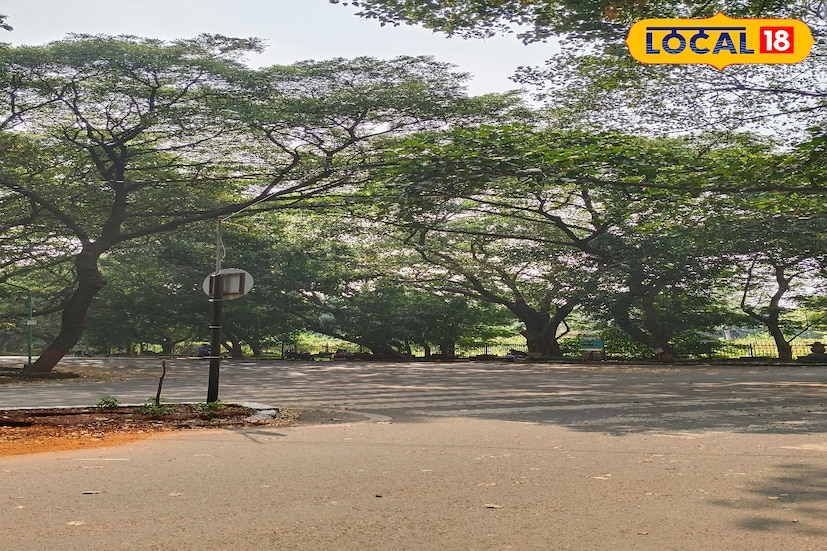 पालघरला आज हवामान विभागानं यलो अलर्ट दिला आहे. इथे सकाळपासूनच आभाळ भरून आलं असून काही ग्रामीण भागांमध्ये जोरदार पावसाच्या सरी सुरू आहेत. दुपारनंतर पावसाचा जोर आणखी वाढू शकतो, असा अंदाज हवामान खात्यानं व्यक्त केला आहे.