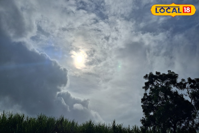 गेल्या 24 तासात सोलापूर जिल्ह्यात 32.6 अंश सेल्सिअस कमाल तापमानाची नोंद झाली. आज ढगाळ आकाशासह हलक्या पावसाची शक्यता वर्तवण्यात आली आहे. यावेळी पारा 29 अंशावर राहण्याचा अंदाज आहे. 