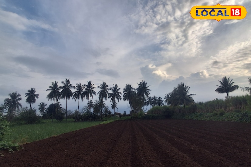 मागील 24 तासात सातारा जिल्ह्यात 28.7 अंश सेल्सिअस कमाल तापमानाची नोंद झाली. 7 मिलिमीटर पावसाची नोंद झाली. आज संपूर्ण साताऱ्यासह घाटमाथ्यावर ढगाळ आकाशासह हलक्या पावसाची शक्यता भारतीय हवामान विभागाकडून वर्तवण्यात आली आहे. यावेळी कमाल तापमानाचा पारा 30 अंशावर राहिल. 