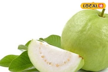 Health Tips : हिवाळ्यात पडतेय त्वचा कोरडी, आहारात समावेश करा पेरू, होईल असा परिणाम