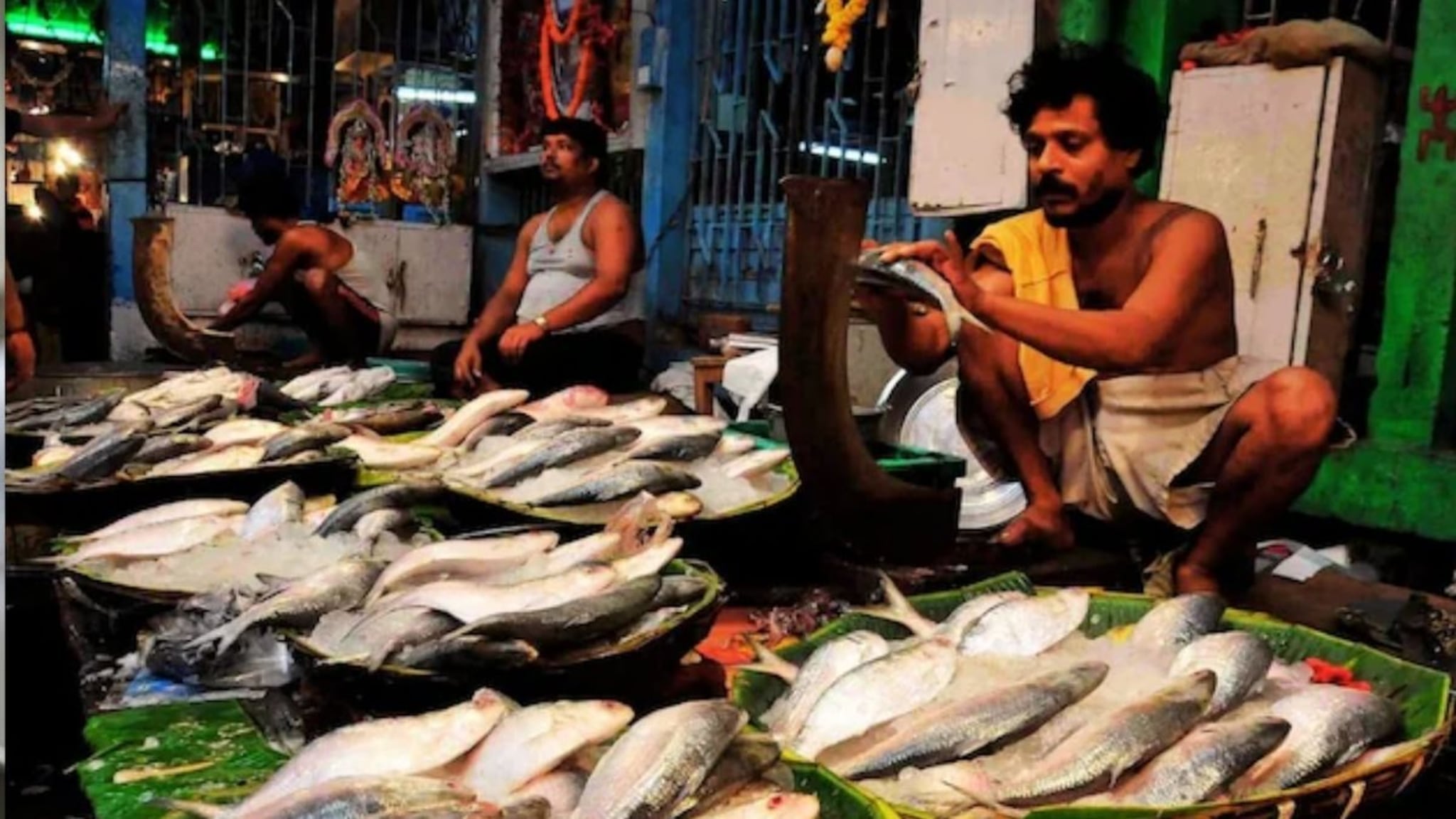 ऐकावं ते नवल! एका माशाला VIP सिक्युरिटी, 17 युद्धनौका, ड्रोन आणि हेलिकॉप्टर; 24 तास सैन्य करतंय संरक्षण, पण का?