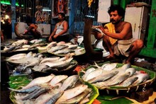 एका माशाला VIP सिक्युरिटी! 17 युद्धनौका, ड्रोन, हेलिकॉप्टर; 24 तास सैन्य संरक्षण