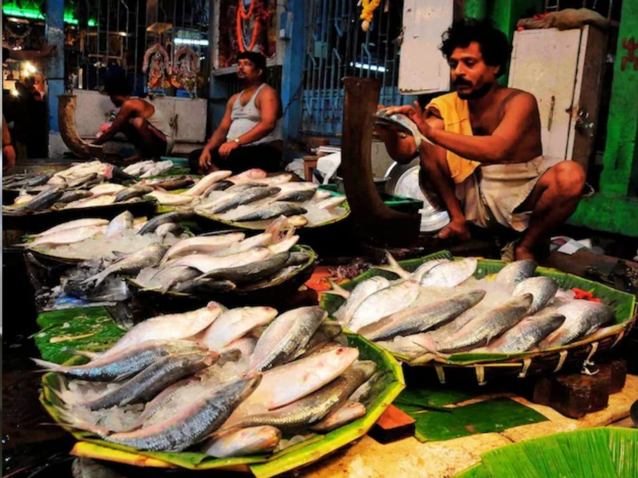 ऐकावं ते नवल! एका माशाला VIP सिक्युरिटी, 17 युद्धनौका, ड्रोन आणि हेलिकॉप्टर; 24 तास सैन्य करतंय संरक्षण, पण का?