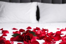 सुहागरातसाठी सजवली खोली, बेडवर फुलांसोबत लटकवलं असं काही, लोक टकामका पाहतच राहिले