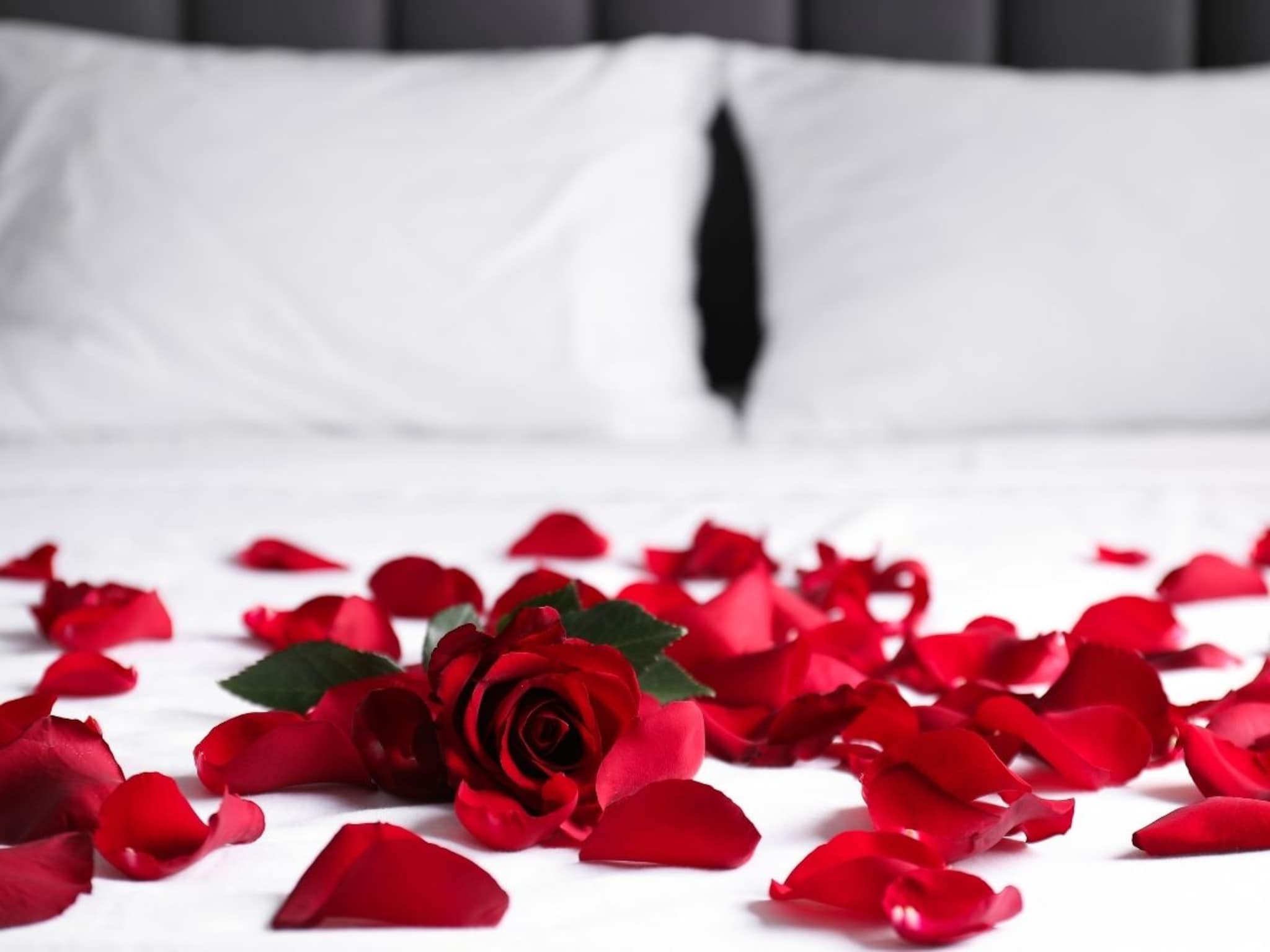 सुहागरातसाठी सजवली खोली, बेडवर फुलांसोबत लटकवलं असं काही, लोक टकामका पाहतच राहिले