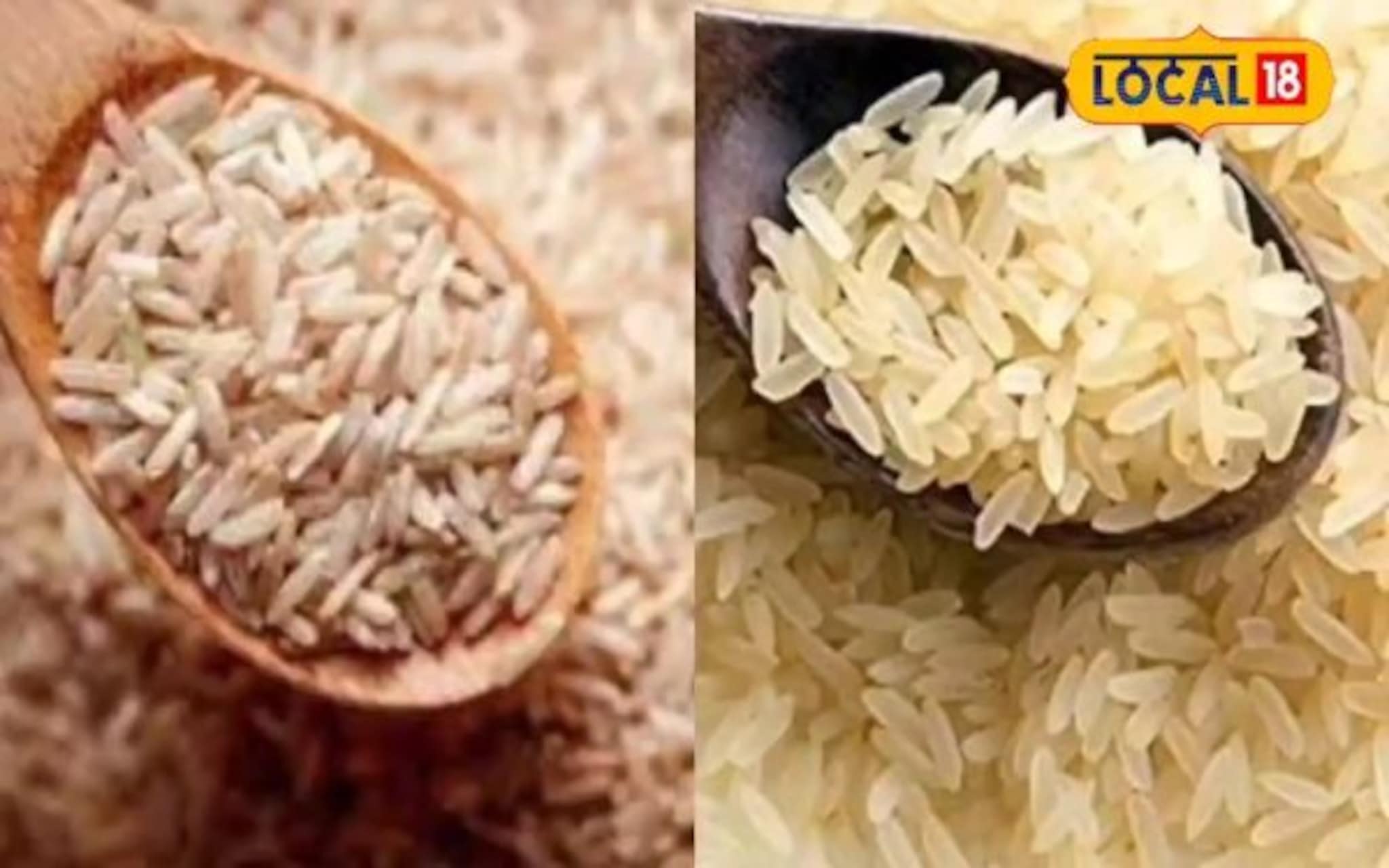 Rice : पांढरा की ब्राऊन राईस? कोणत्या तांदळाचा भात शरिरासाठी फायदेशीर?, Video