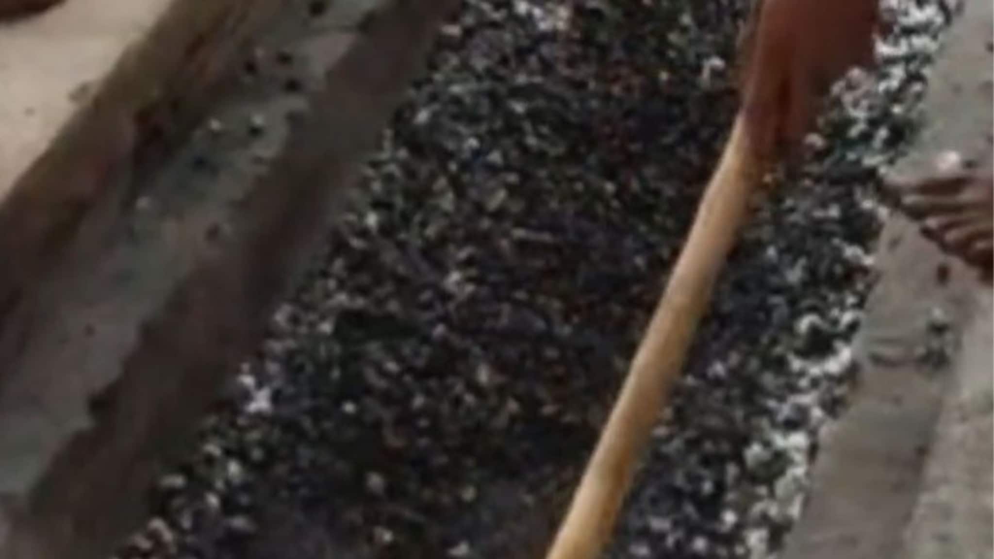 माणिकवाडीत जळत्या कोळशावर चालण्याची परंपरा कशी सुरू झाली? नेमकं कारण काय