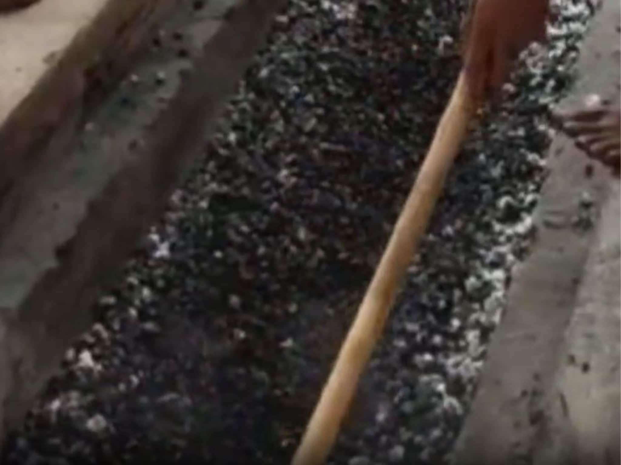 माणिकवाडीत जळत्या कोळशावर चालण्याची परंपरा कशी सुरू झाली? नेमकं कारण काय