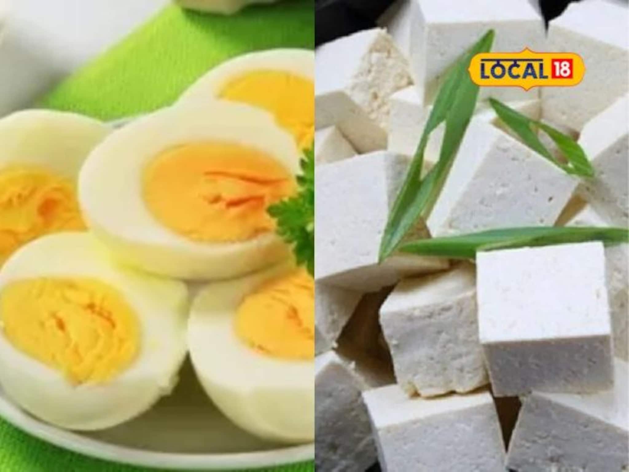 पनीर की अंडी? उन्हाळ्यात खाण्यासाठी बेस्ट काय? पाहा तुमच्या मनातील प्रश्नाचं उत्तर