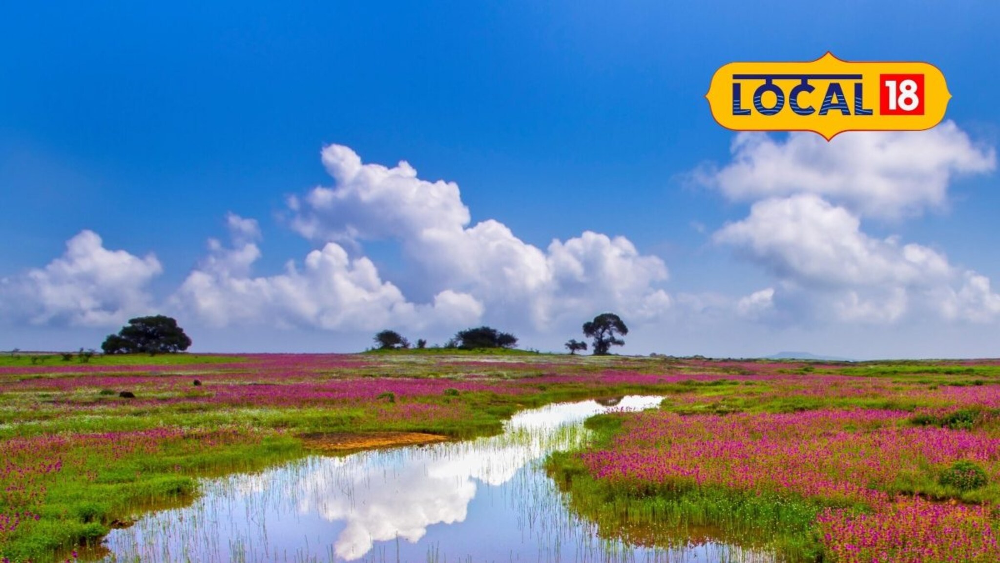 Kaas Plateau: कास पठाराची भ्रमंती होणार सोपी! पर्यटकांच्या सोयीसाठी वन विभागाचा मोठा निर्णय