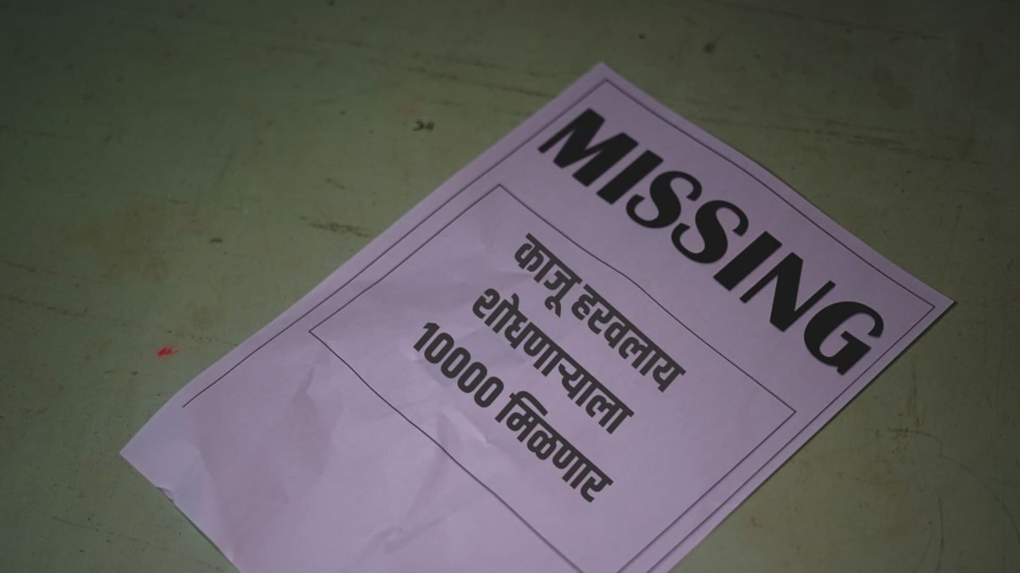 'काजू' हरवलाय! शोधणाऱ्याला 10000 मिळणार, जागोजागी लागलेत पोस्टर्स