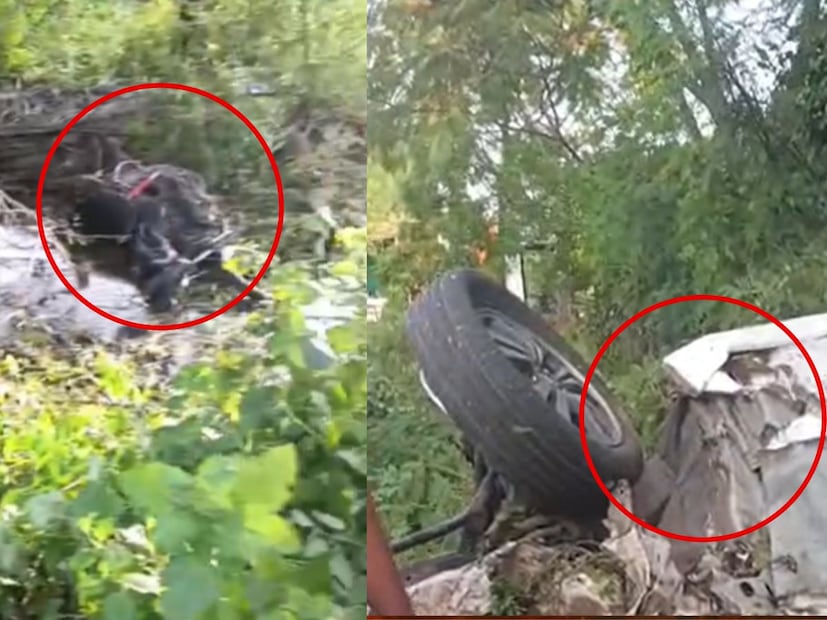 अपघातात इनोव्हा कारचे मोठे नुकसान झाले आहे. झाडांमध्ये गाडी पलटी झाल्याचे प्रथमदर्शनी दिसून येत आहे.